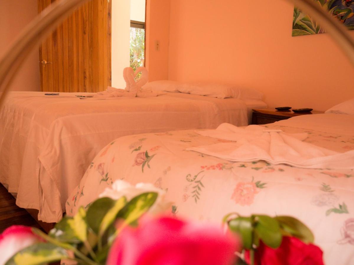 Monte Los Lirios Lodge Monteverde Екстер'єр фото